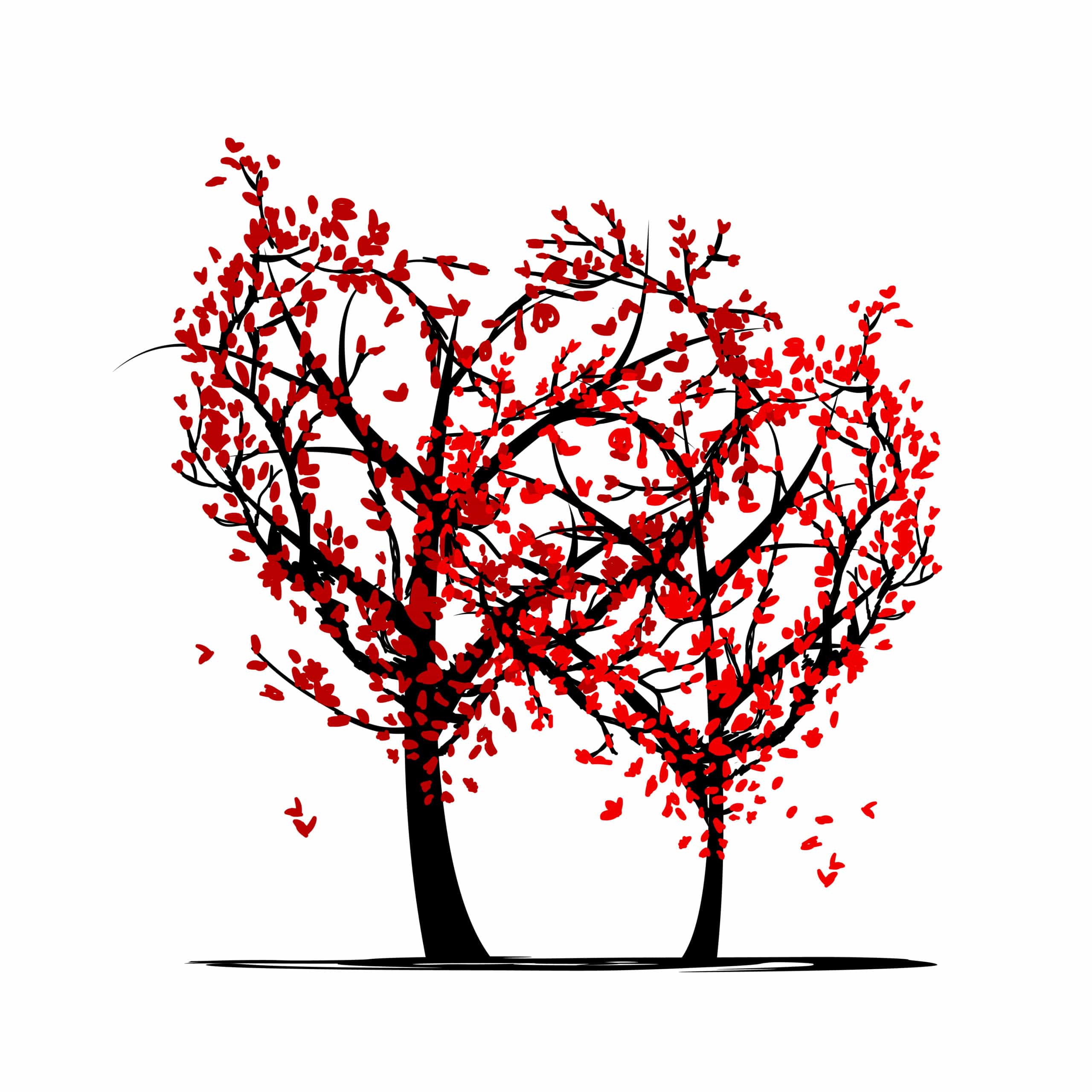 Spousal Sponsorship Canada Procedural Fairness letter YA Law Corporation